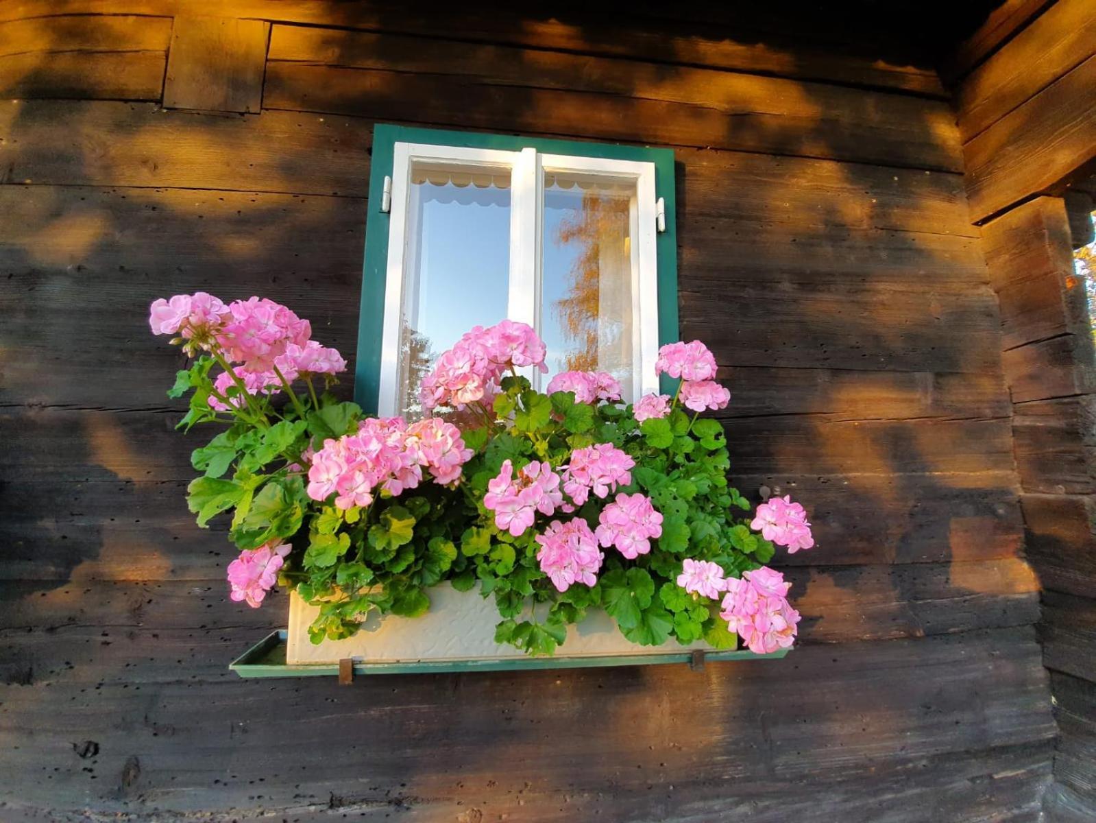 Ferienhaus Koglegg Wies 외부 사진