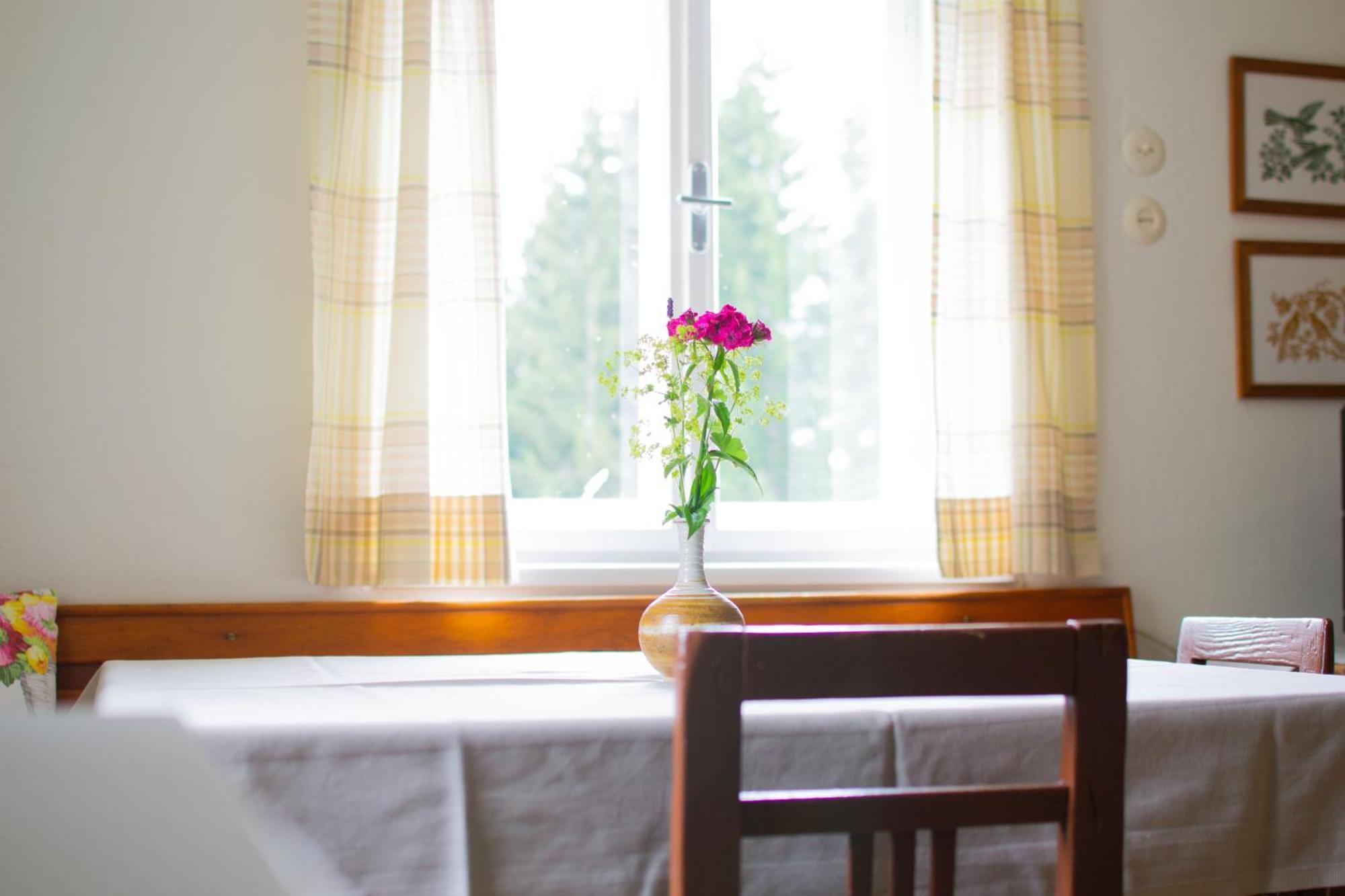 Ferienhaus Koglegg Wies 외부 사진